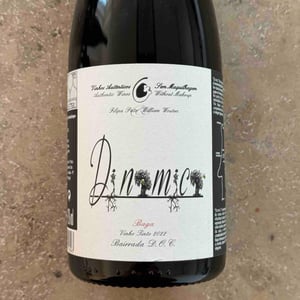 Dinamica Tinto - Filipa Pato - Filipa Pato & William Wouters 