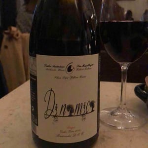 Dinamica Tinto - Filipa Pato - filipa-pato-william-wouters