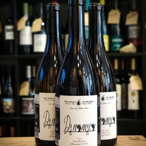 Dinamica Tinto - Filipa Pato - filipa-pato-william-wouters