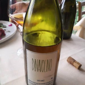 Azienda Agricola Denavolo - Giulio Armani - Dinavolino