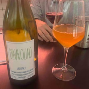 Azienda Agricola Denavolo - Giulio Armani - Dinavolino