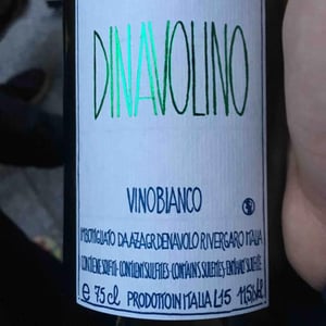 Dinavolino 2015