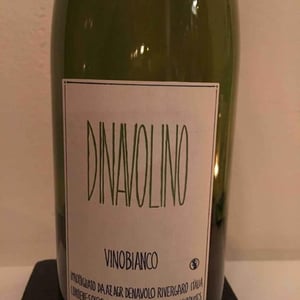 Azienda Agricola Denavolo - Giulio Armani - Dinavolino