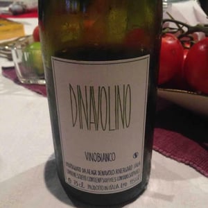 Azienda Agricola Denavolo - Giulio Armani - Dinavolino