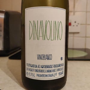 Azienda Agricola Denavolo - Giulio Armani - Dinavolino