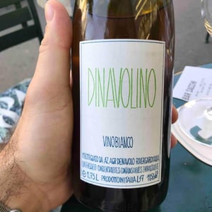 Azienda Agricola Denavolo - Giulio Armani - Dinavolino