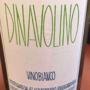Azienda Agricola Denavolo - Giulio Armani - Dinavolino