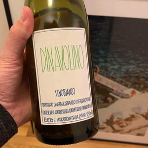 Azienda Agricola Denavolo - Giulio Armani - Dinavolino