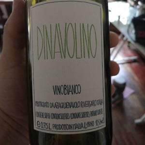 Azienda Agricola Denavolo - Giulio Armani - Dinavolino
