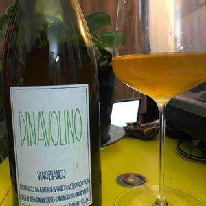 Azienda Agricola Denavolo - Giulio Armani - Dinavolino