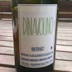 Azienda Agricola Denavolo - Giulio Armani - Dinavolino