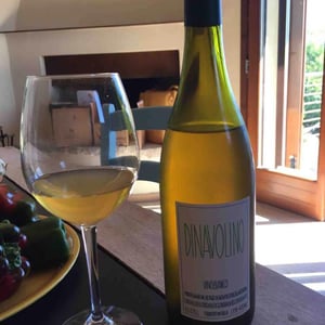 Azienda Agricola Denavolo - Giulio Armani - Dinavolino