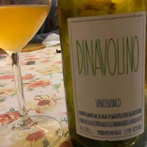 Azienda Agricola Denavolo - Giulio Armani - Dinavolino
