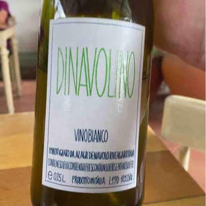 Azienda Agricola Denavolo - Giulio Armani - Dinavolino