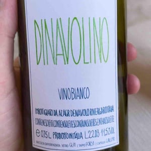 Azienda Agricola Denavolo - Giulio Armani - Dinavolino