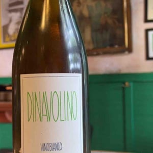 Dinavolino - Azienda Agricola Denavolo - Giulio Armani 