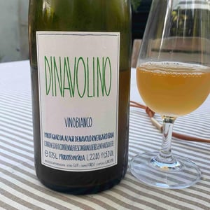 Azienda Agricola Denavolo - Giulio Armani - Dinavolino