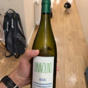 Dinavolino