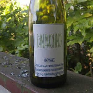 Azienda Agricola Denavolo - Giulio Armani - Dinavolino