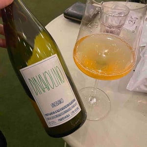 Azienda Agricola Denavolo - Giulio Armani - Dinavolino