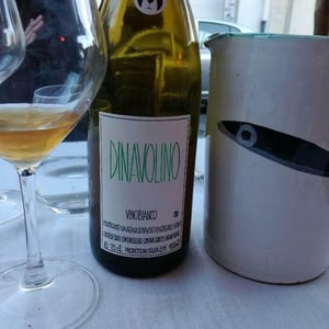 Azienda Agricola Denavolo - Giulio Armani - Dinavolino