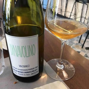 Azienda Agricola Denavolo - Giulio Armani - Dinavolino