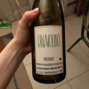Azienda Agricola Denavolo - Giulio Armani - Dinavolino