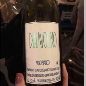 Azienda Agricola Denavolo - Giulio Armani - Dinavolino
