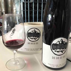 Dio Dio de Fifi - Domaine Julien Guillon - julien-guillon