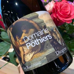 Diogene - Domaine des Pothiers - denise-georges-romain-paire -2020