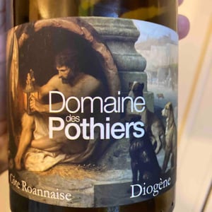 Diogene - Domaine des Pothiers - Denise, Georges & Romain Paire -2020