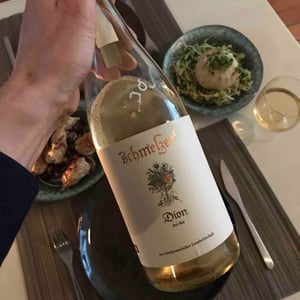 Dion Pet Nat - Schmelzers Weingut - Georg & Elisabeth Schmelzer 