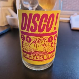 Disco! - Subject to Change - Alex Pomerantz 