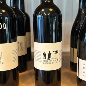 Dislivelli - Dislivelli di Valtellina - gian-piero-ioli-mv