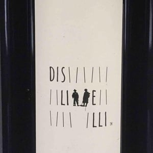 Dislivelli - Dislivelli di Valtellina - Gian Piero Ioli 