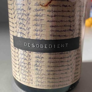 Desobedient - Mas de la Caçadora - joan-pujades-gine -2019