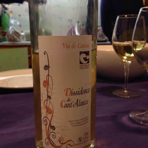 Dissidence - Domaine de Cantalauze - pierre-olivier-pauline-laurent -2008