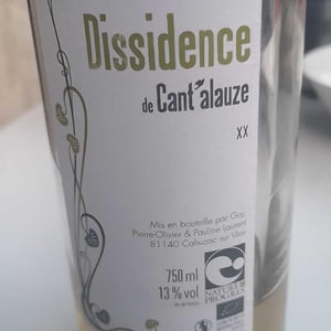 Dissidence