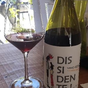 Dissidente - Azienda Agricola San Donatino - Mathieu Ferré -2017