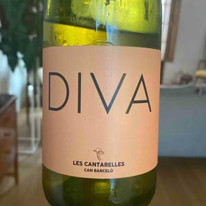 Diva - Les Cantarelles - Nuria Renom Suárez 