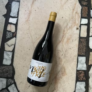 Tauchgang Wild + Free - Weinbau Michael Wenzel - michael-wenzel