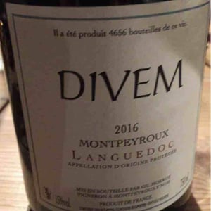 Divem - Divem - gil-morrot