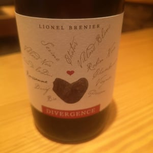 Divergence - Lionel brenier - Lionel Brenier 