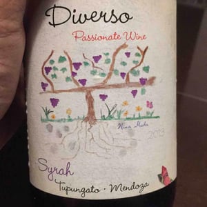 Diverso: Passionate Wine - O Morto Wines - matias-michelini