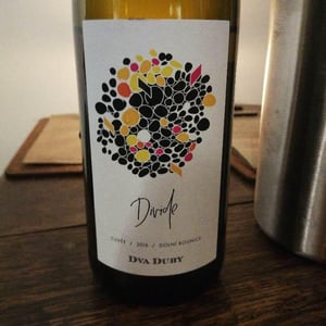Divide - Dva Duby - jiri-sebela