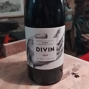 Divin - Chateau Les Croisille - Simon et Germain Croisille , Nicolas Bach 