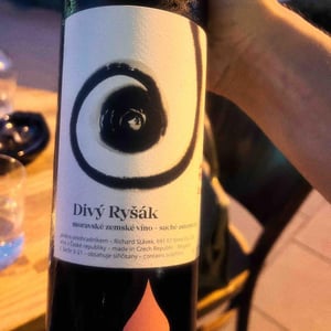 Divy Rysák - Richard Stavek - Richard Stavek 