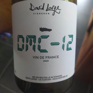 DMC-12 - David Large - celia-rostand-et-david-large