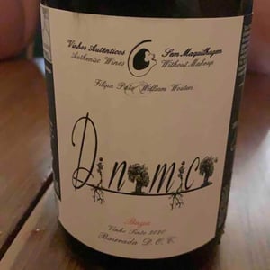 Dinamica Tinto - Filipa Pato - filipa-pato-william-wouters