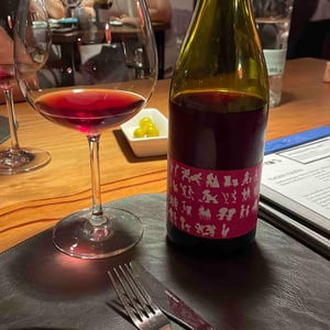 Doble Plaer Tinto - Vinyes Singulars - ignasi-segui -2021